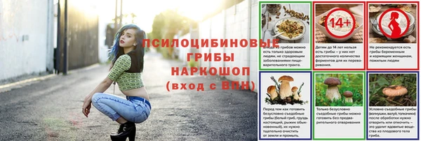 а пвп мука Бронницы