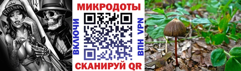 Галлюциногенные грибы мухоморы  Купить где  Геленджик 